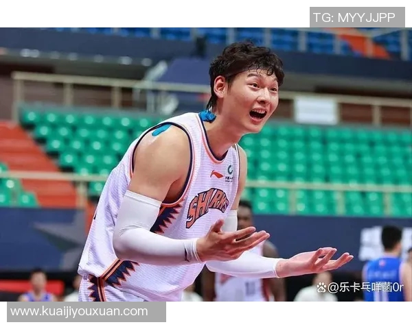 王哲林在CBA赛场的崛起与挑战解析，未来篮球之路的展望与期待