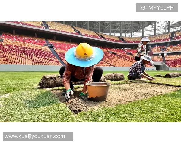 重庆极限运动队的成功运营策略与发展模式深度分析